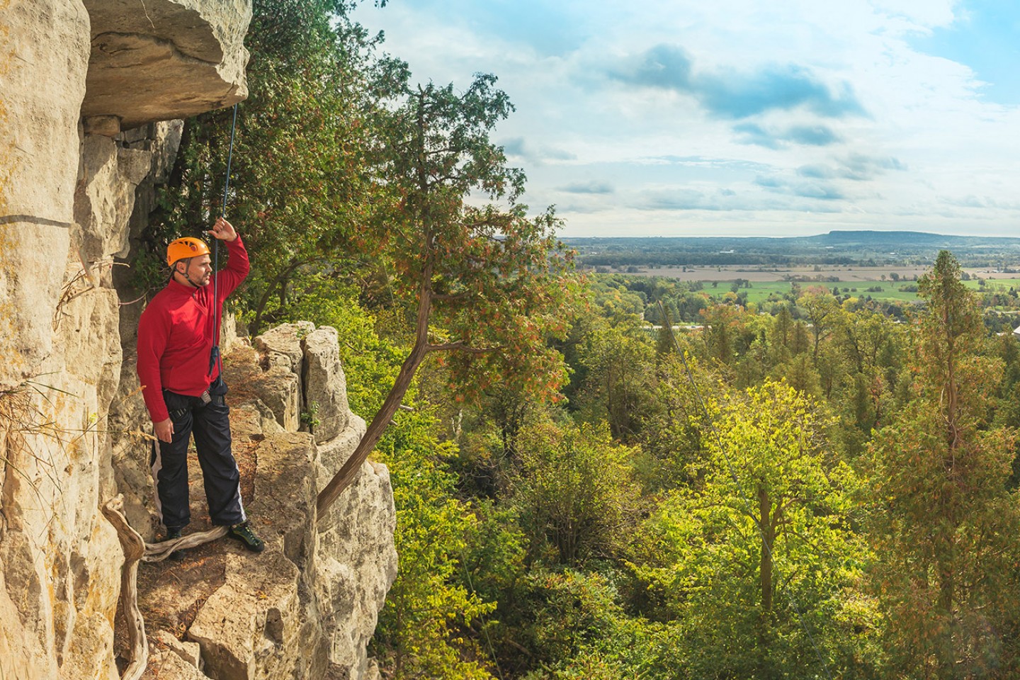 Dog-Friendly Walking Trails in the GTA cover photo collage