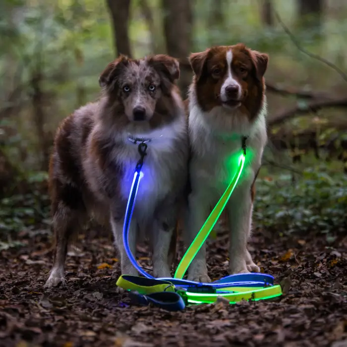 The Best Gifts for Your Man and His Best Friend cover photo collage