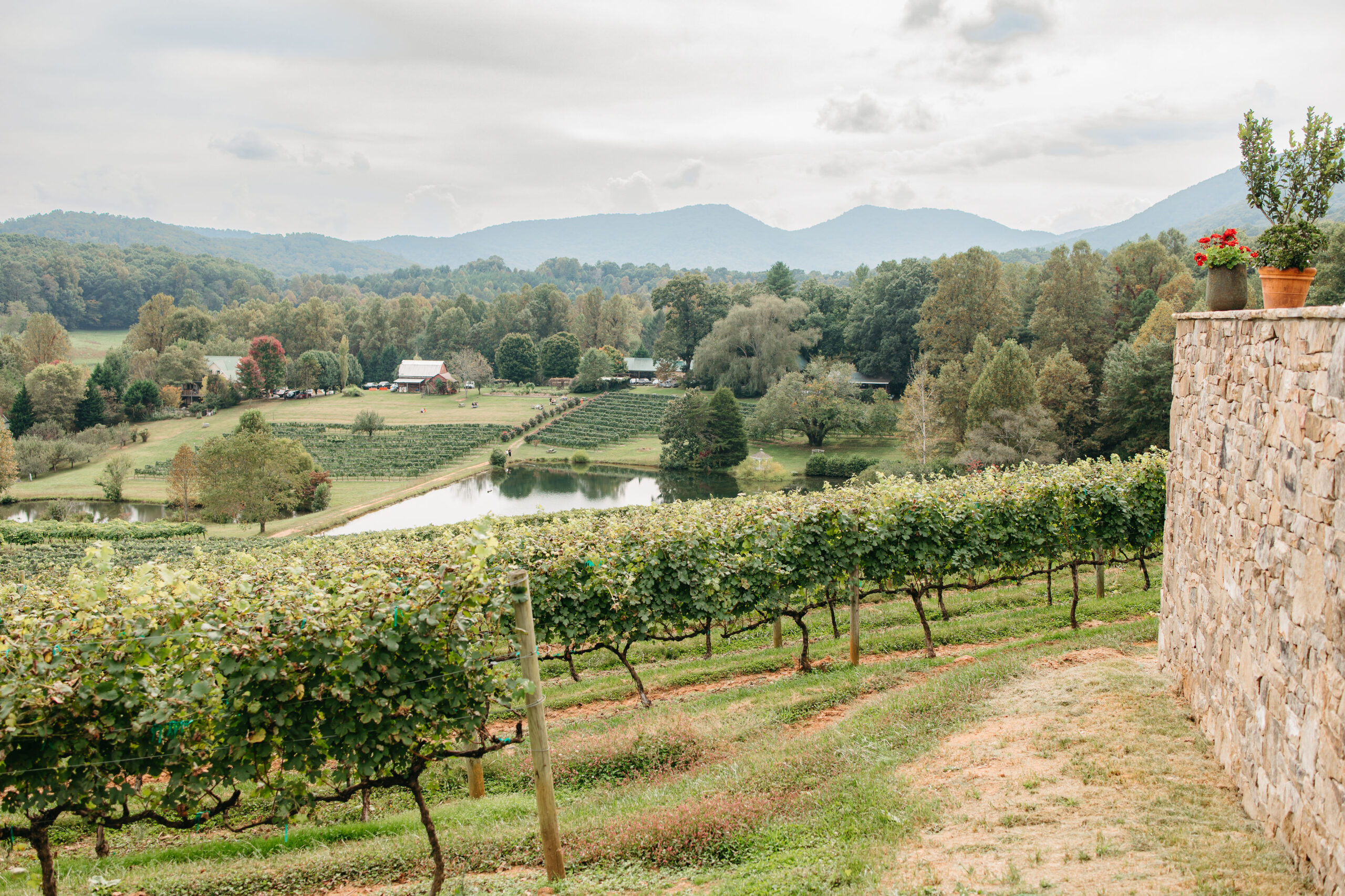 🌄 Our Blue Ridge Life: Mountain Views, Local Finds & Hidden Gems cover photo collage