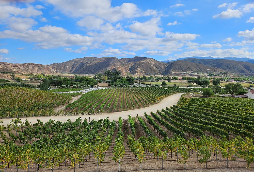 Trips within Driving Distance of Palm Springs cover photo collage