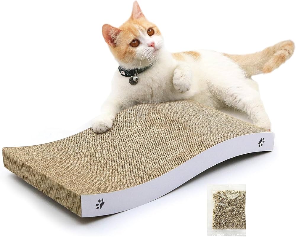 Little paws (cats) Binx cover photo collage