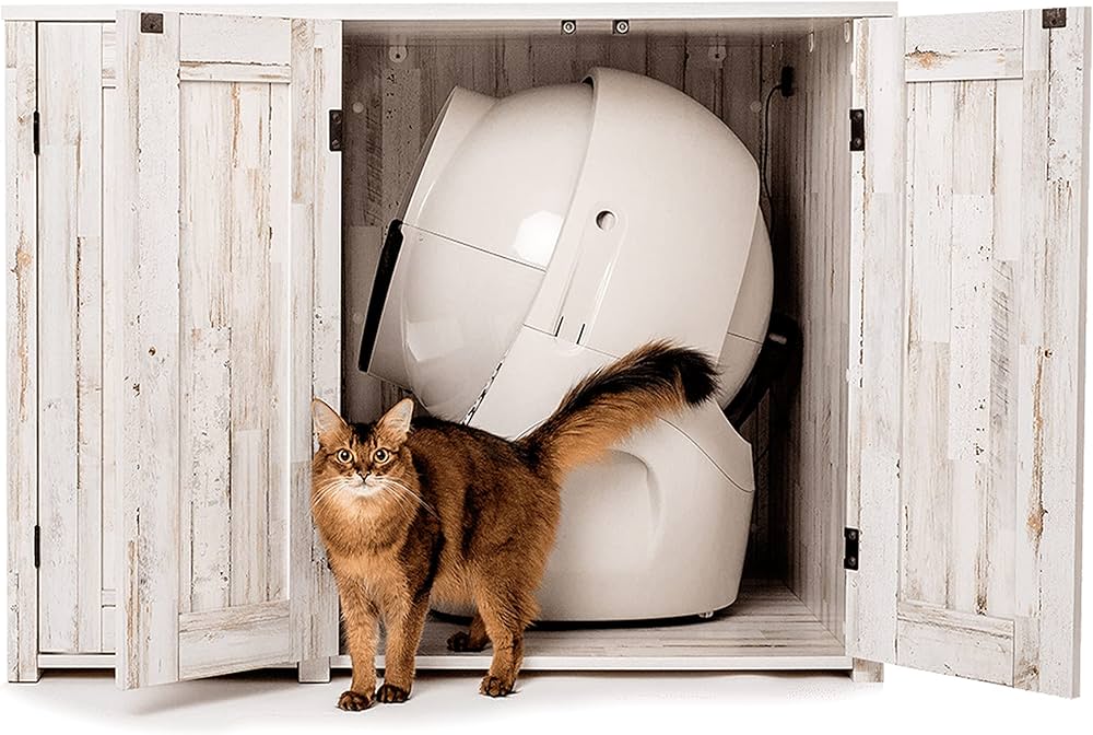 Shop My Home: Sun Room edition - Modern, Yet Earthy cover photo collage