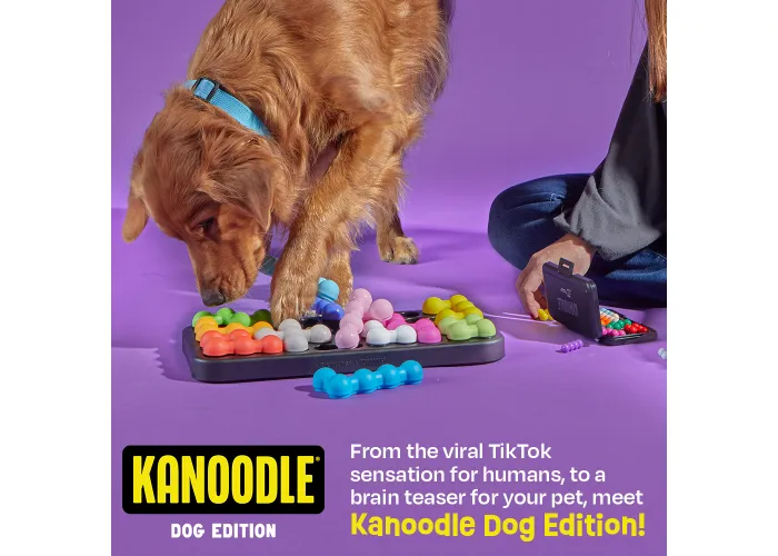 dog toys for even the strongest chewers cover photo collage
