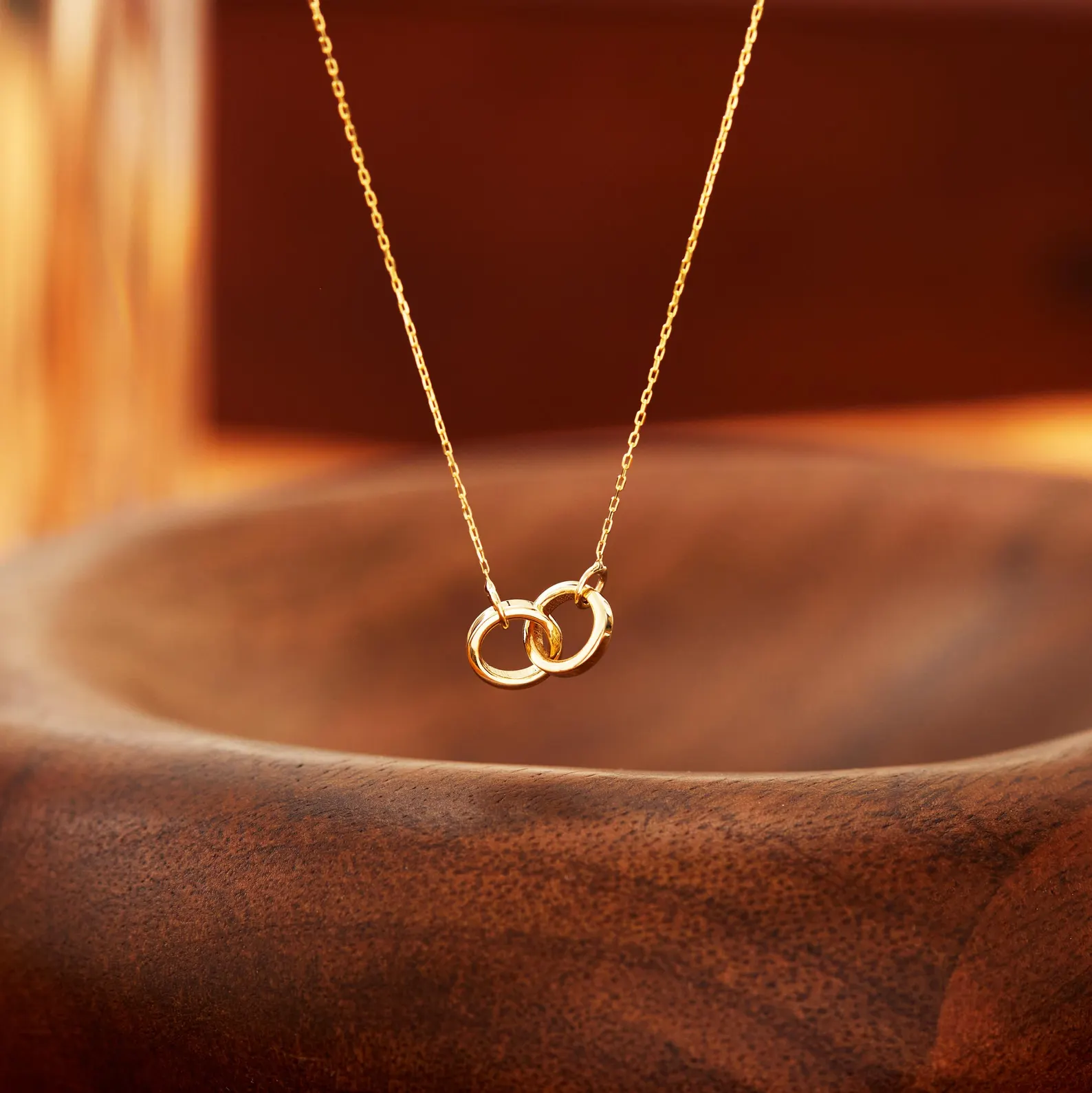 Linked Circle Necklace (Gold & Silver Interlock)