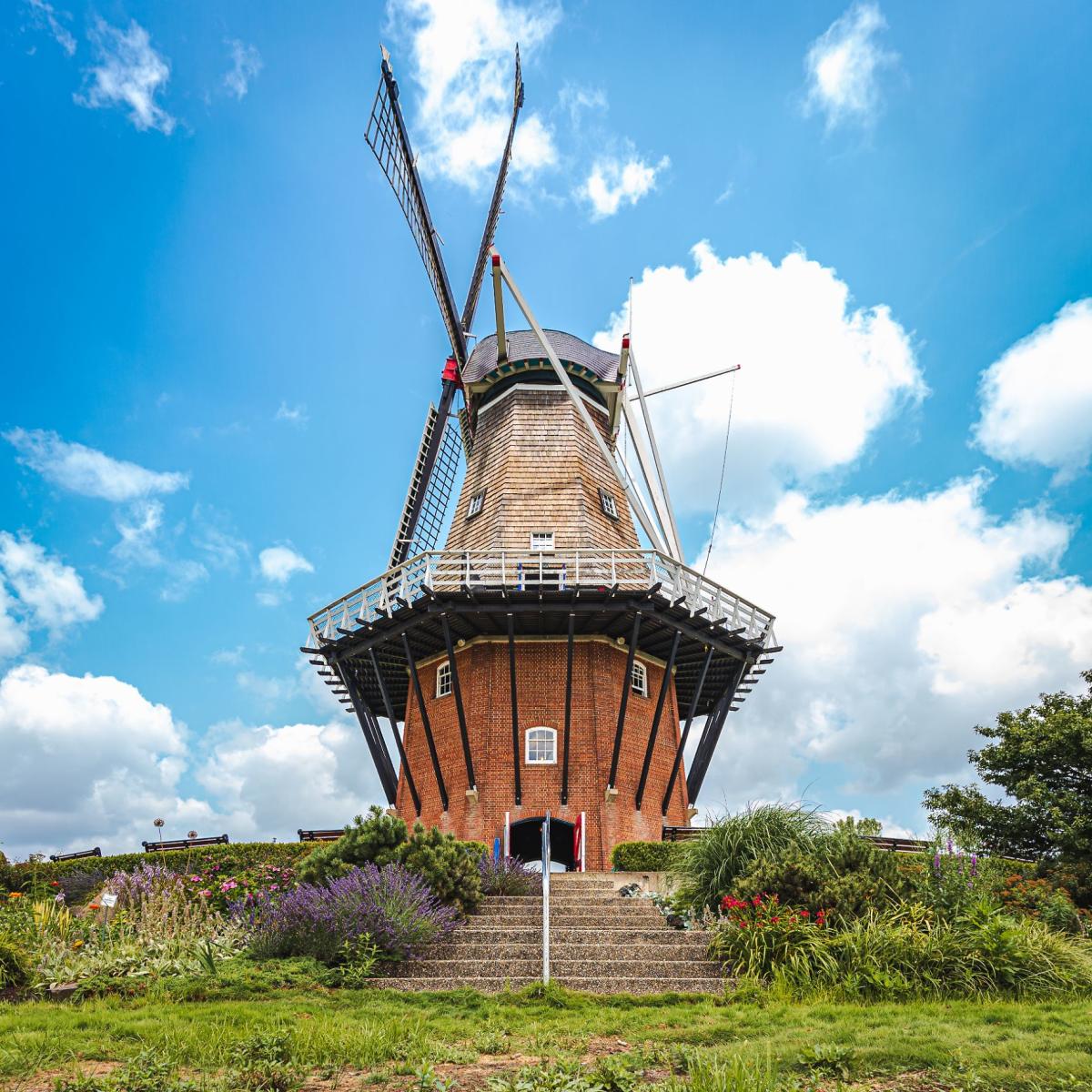 Things to Do in Holland, Michigan cover photo collage