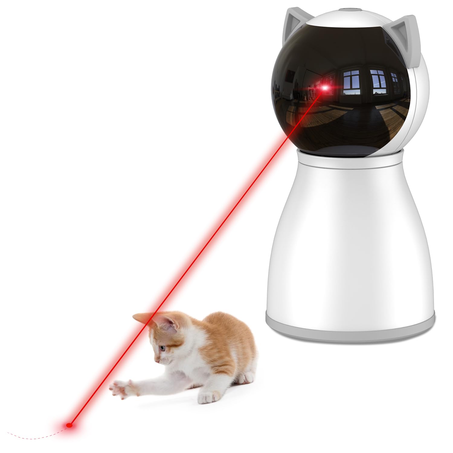 What My Cat Actually Uses (and Keeps Coming Back To) cover photo collage