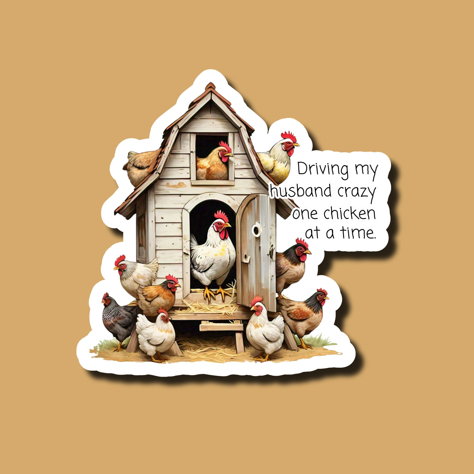 Crazy Chicken Lady Stickers cover photo collage