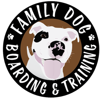 My Favorite Local Pros in South City cover photo collage