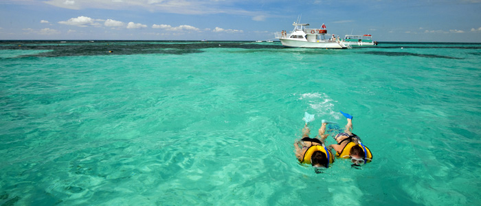 Explore the Magic of the Florida Keys: Your Must-Visit Travel List cover photo collage