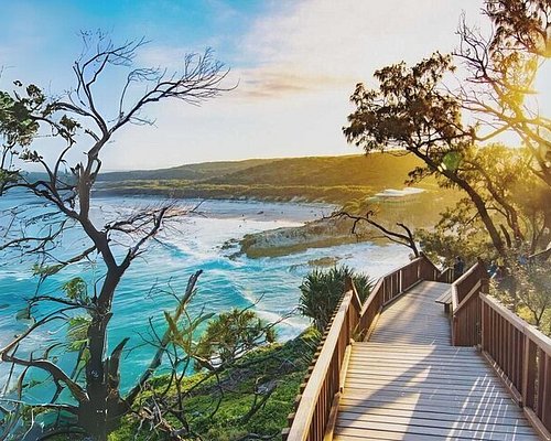 Ultimate 3 Day Brisbane Itinerary - Day 3 cover photo collage