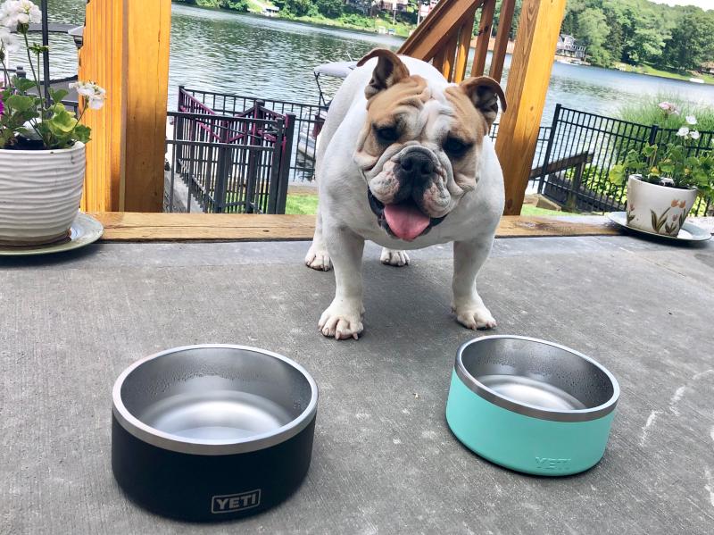 Must-Haves for your Furry Best Friend (Woof!) Recommendations from Sunny & Raya cover photo collage