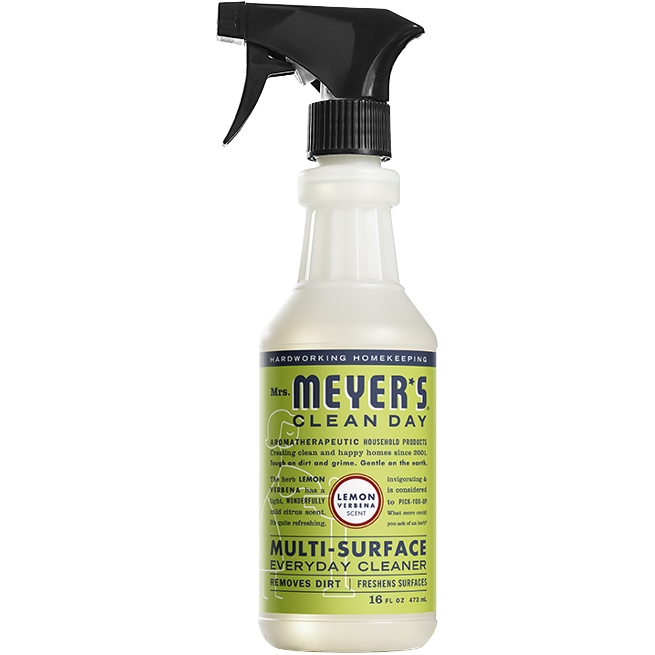 Shine & Sanitize cover photo collage