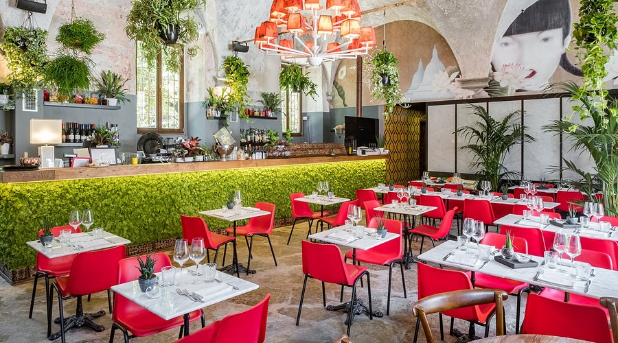 Must Visit Vegan Restaurants Around the World cover photo collage