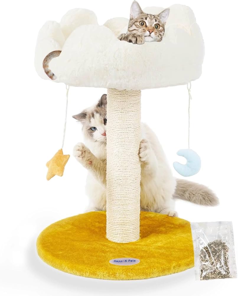 kitten season essentials cover photo collage