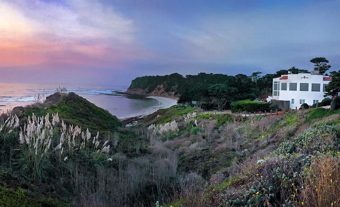 Stay close to nature in NorCal with and without your dog cover photo collage