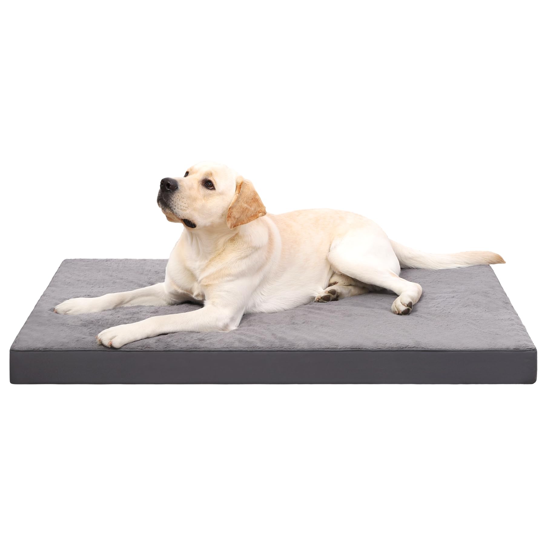 Pet Essentials that Make my Life Easier and Dog Happier cover photo collage