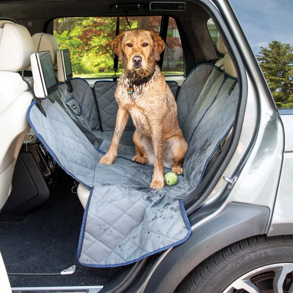 Pack-up The Pups! - Essential Items For Traveling With Your Dog! cover photo collage