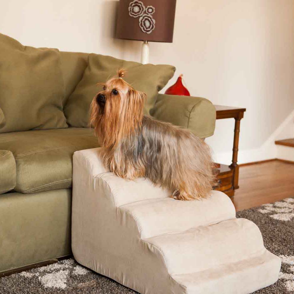 Everyday Items to Care for Elderly or Special Needs Pets cover photo collage
