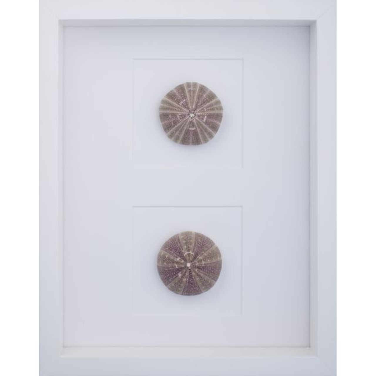 Mirror Home Sea Urchins
