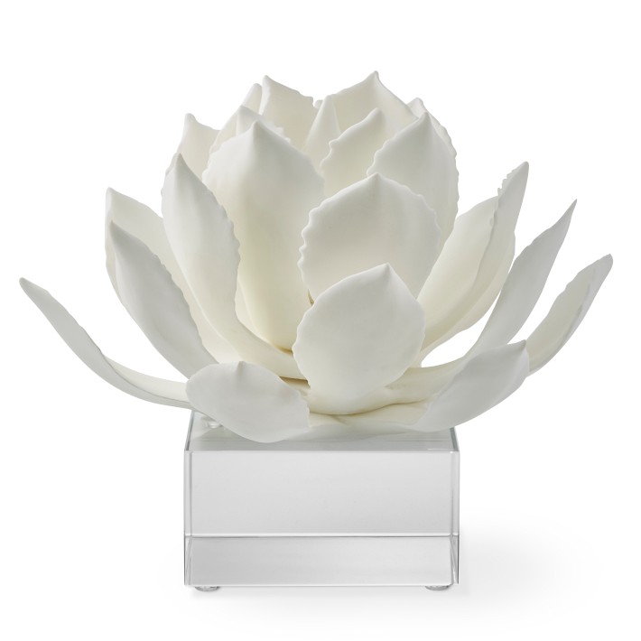 White Agave On Acrylic Stand