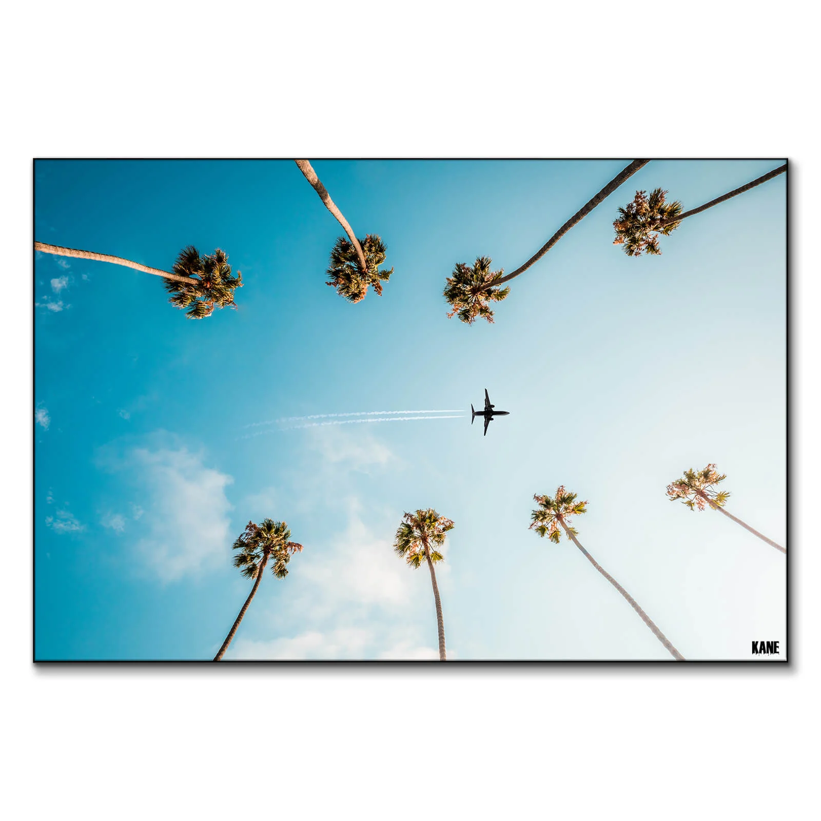 Palm Tree Wall Art Print