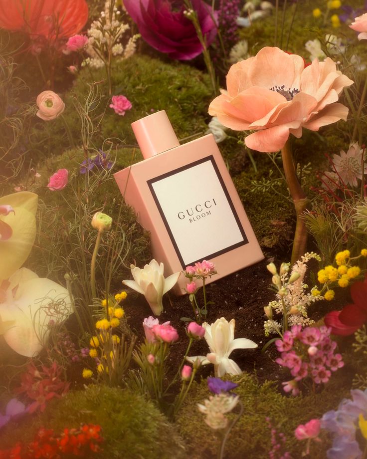 Perfume recs🌺🤍 cover photo collage