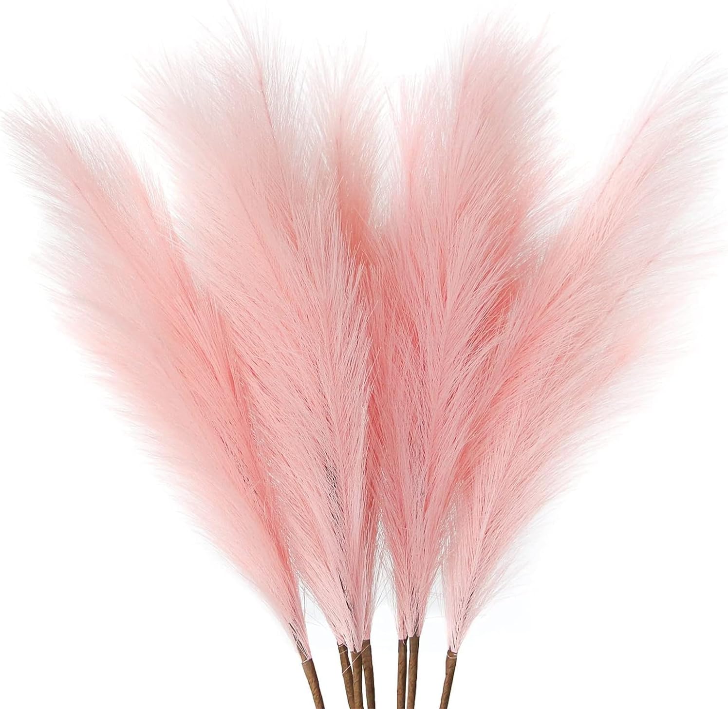 Large Fluffy Pink Pampas