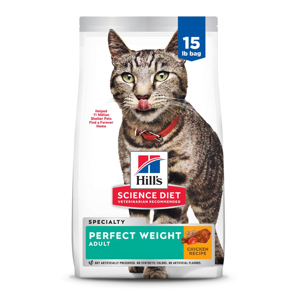 Help for Overweight Cats cover photo collage