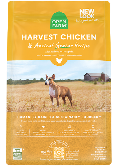 Every dog parent must have's cover photo collage