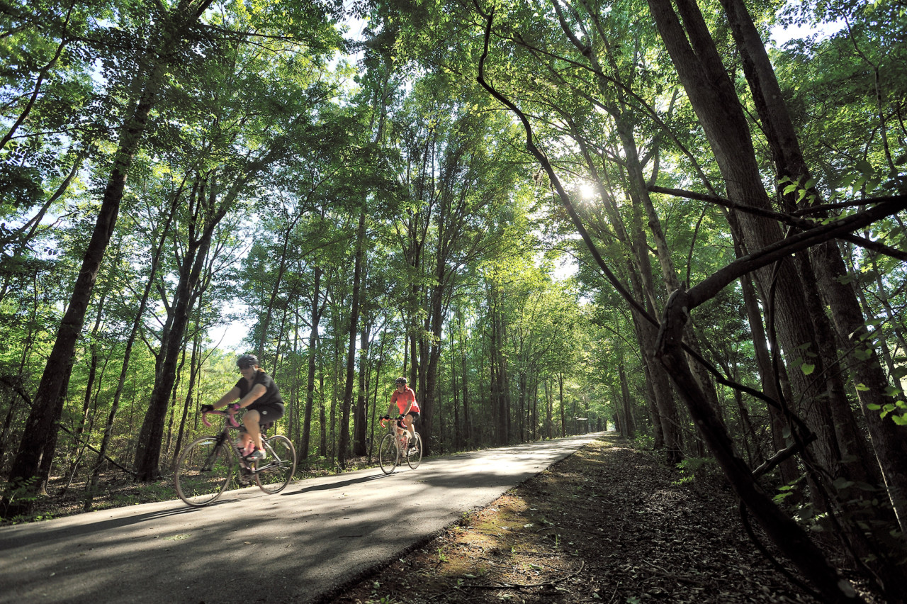 Family things to do in Jacksonville Florida cover photo collage