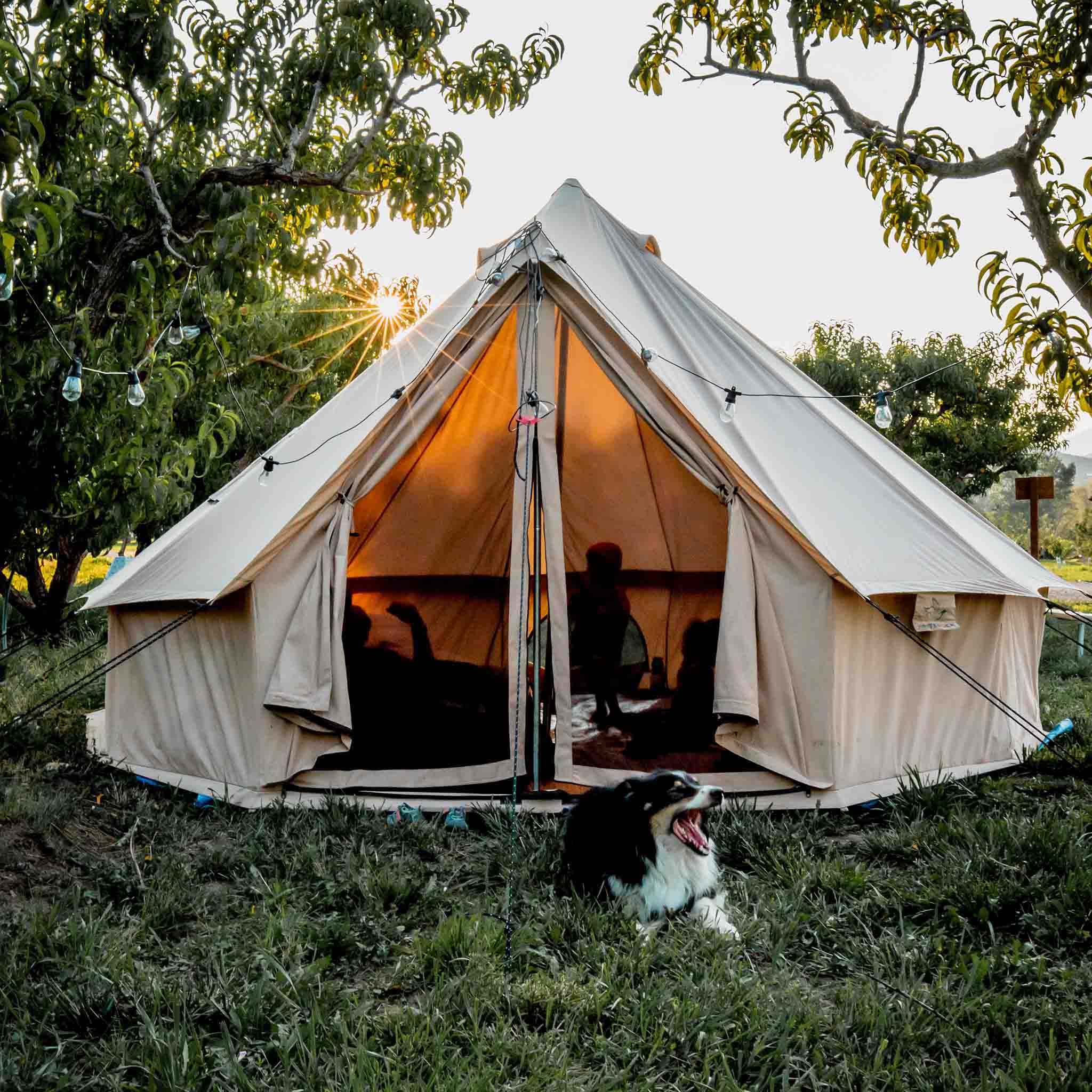 what your summer camping dreams are made of! 🎀 cover photo collage