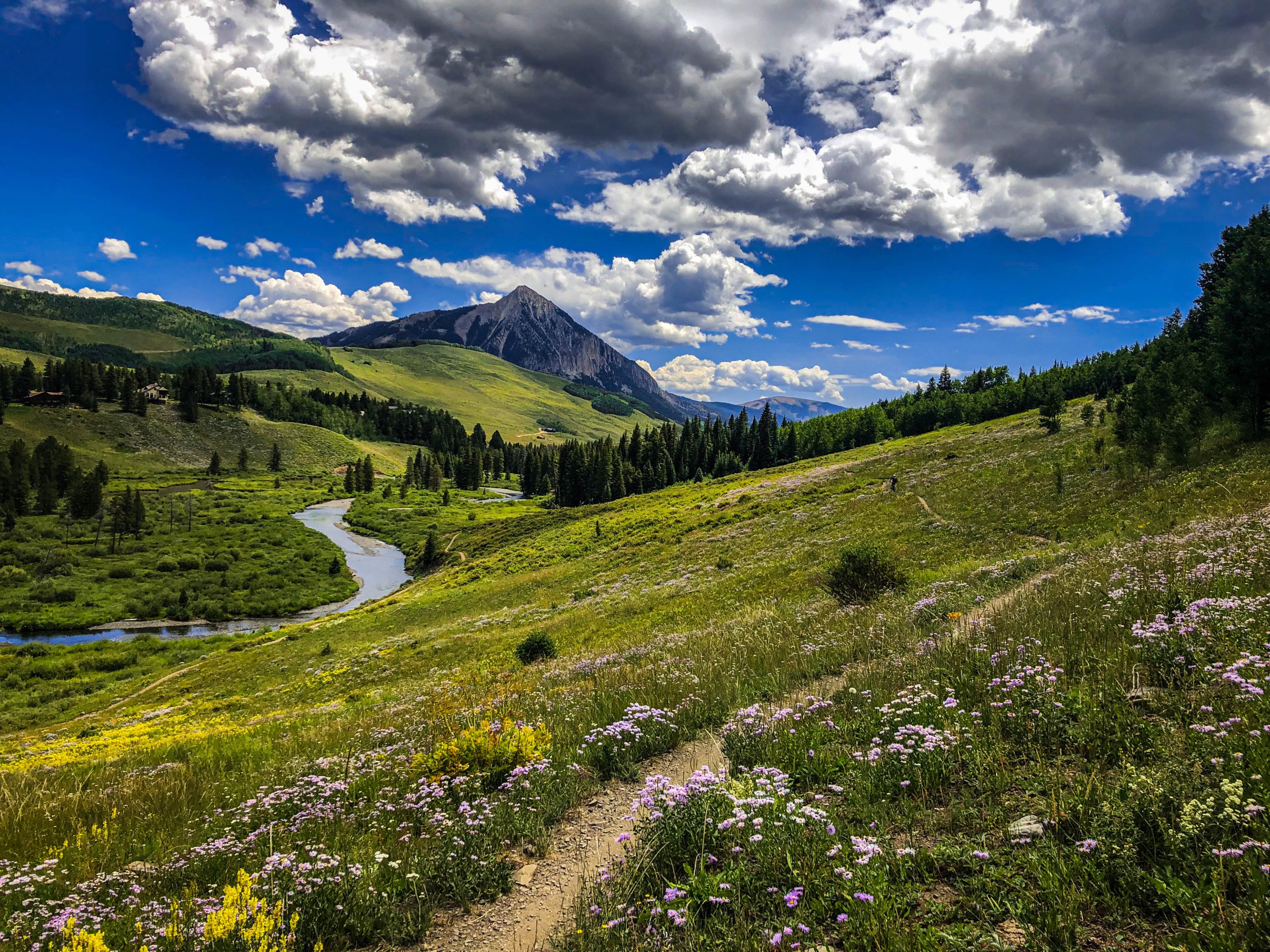 Family-Friendly Hiking Trails in Colorado cover photo collage