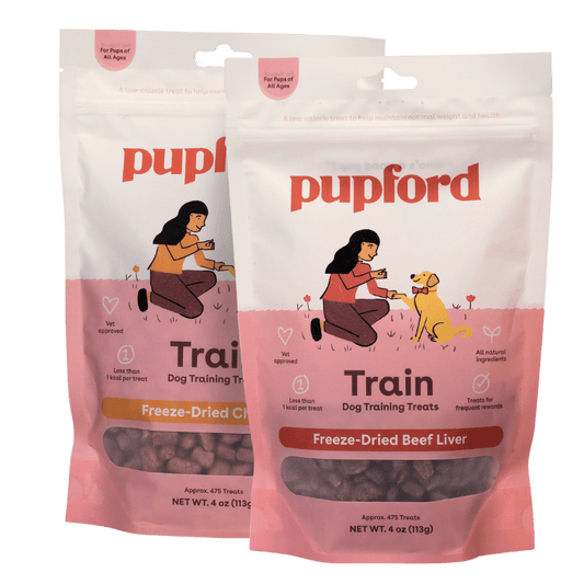 Puppy Health + Grooming Must Haves cover photo collage