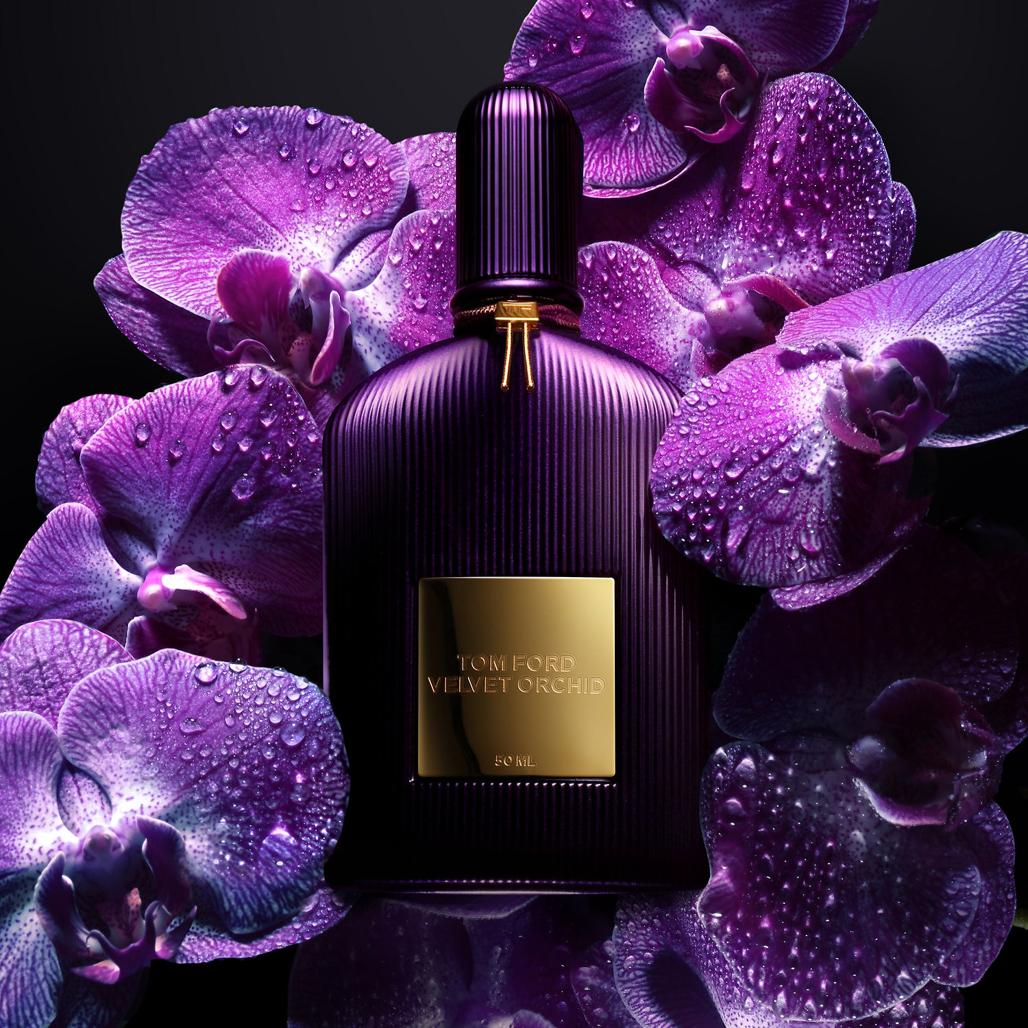 Sinful fragrances cover photo collage