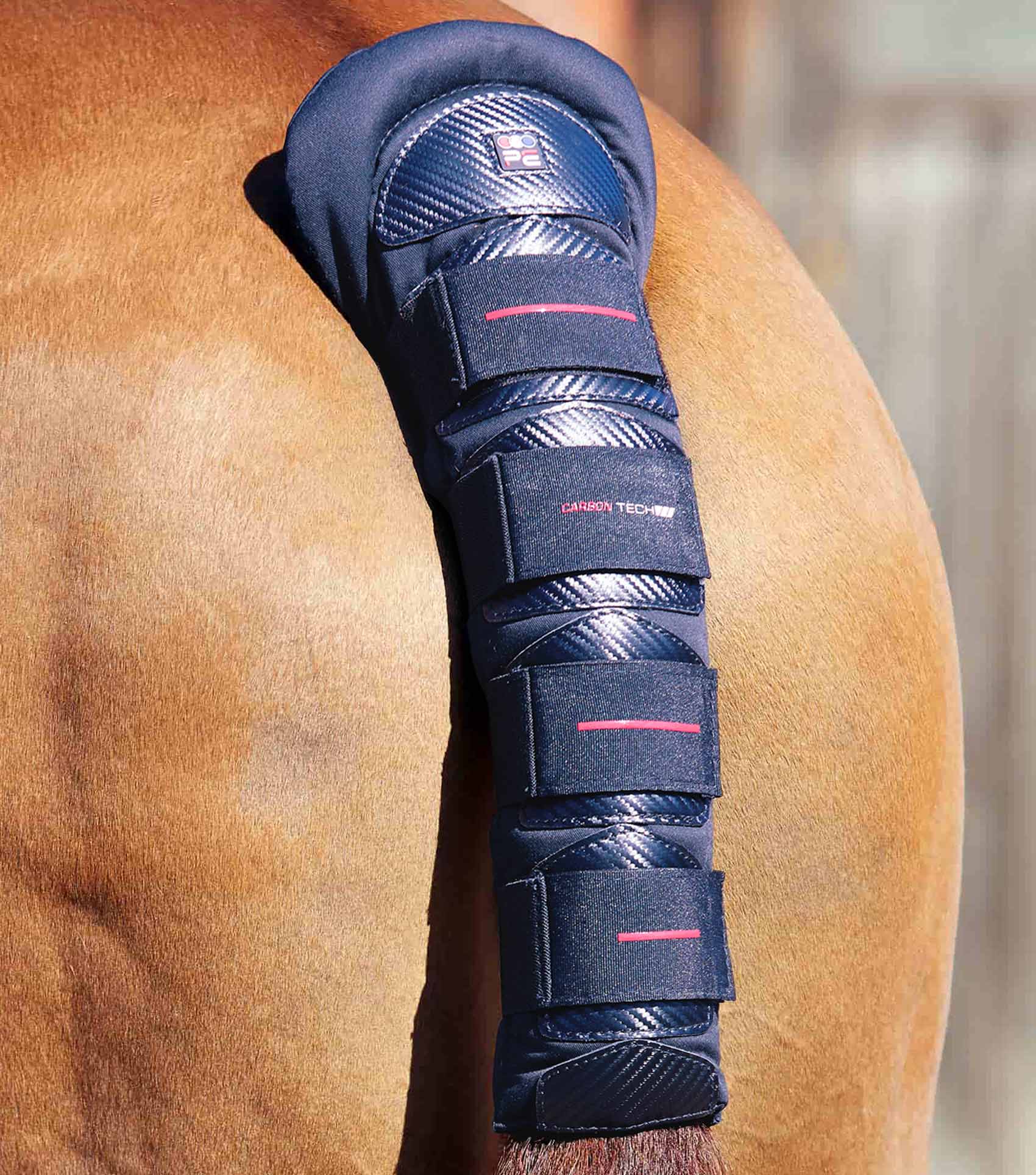 Buying a horse? Say less cover photo collage