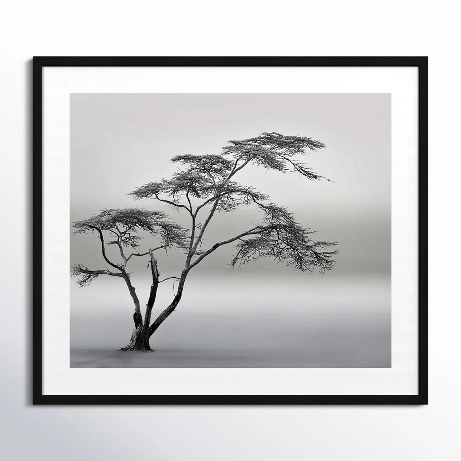 Tree Silhouette Art
