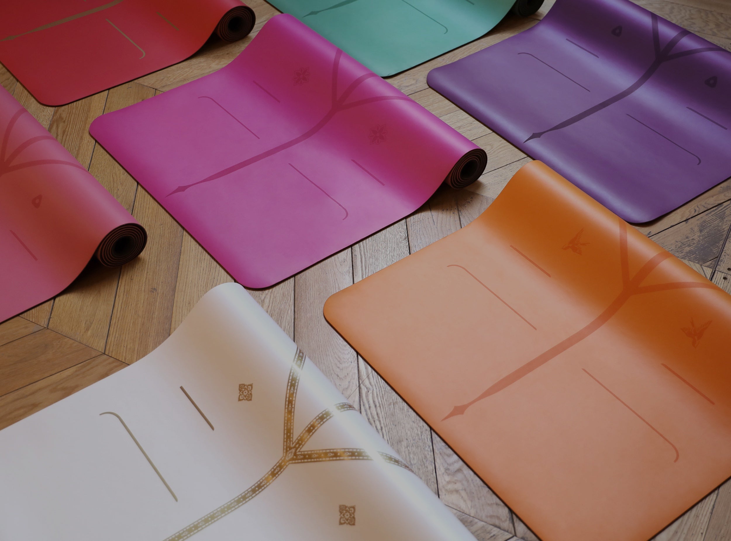 Favorite Yoga Essentials cover photo collage