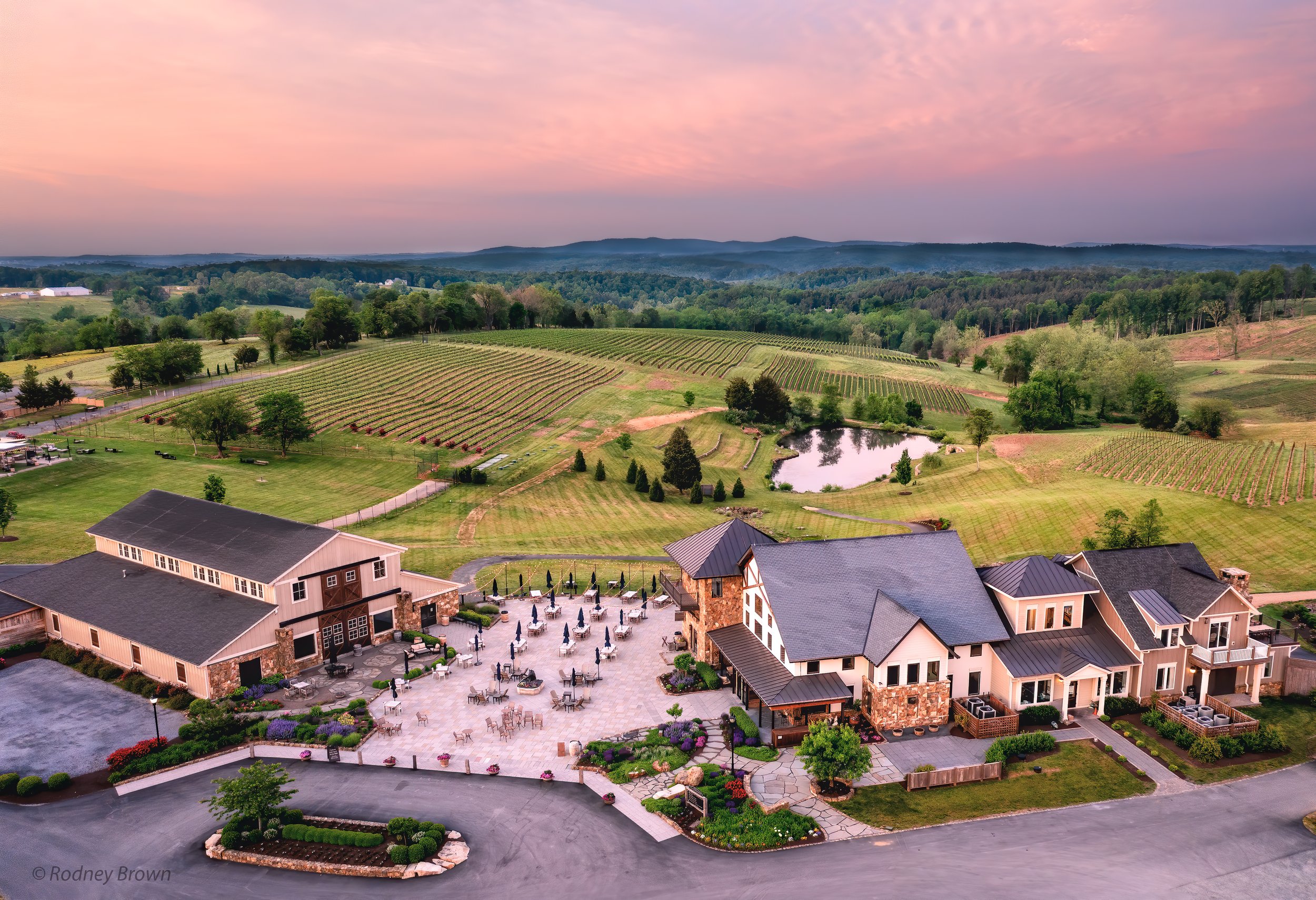Wineries and Vineyards to Visit in the DMV cover photo collage