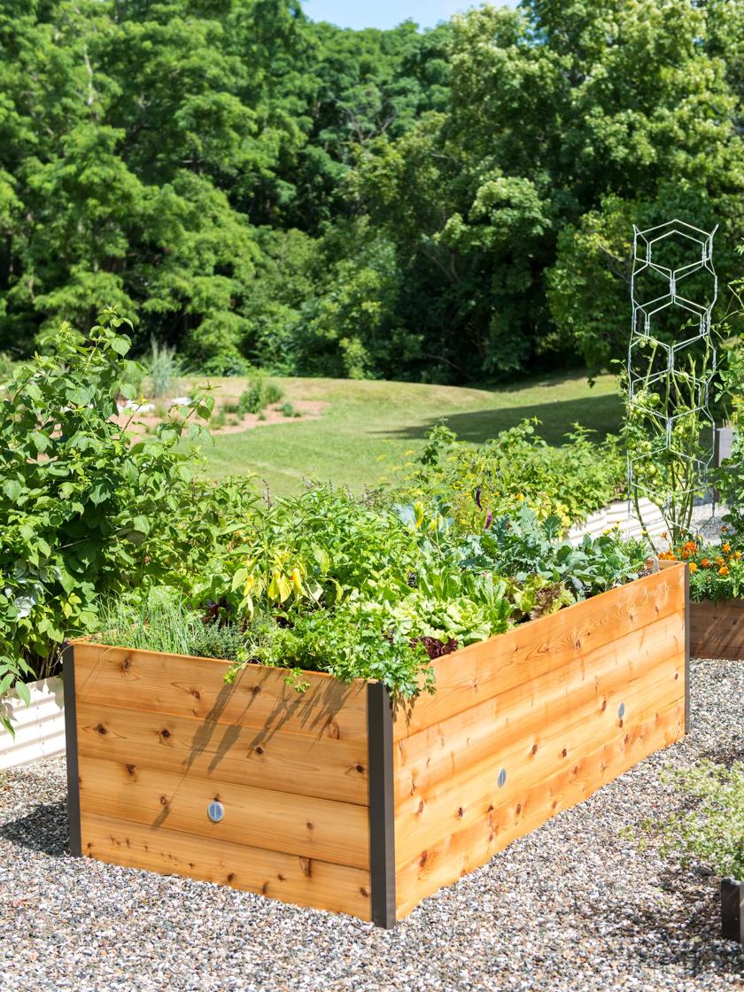 The Everybody's Guide to Planting an Herbal Garden cover photo collage