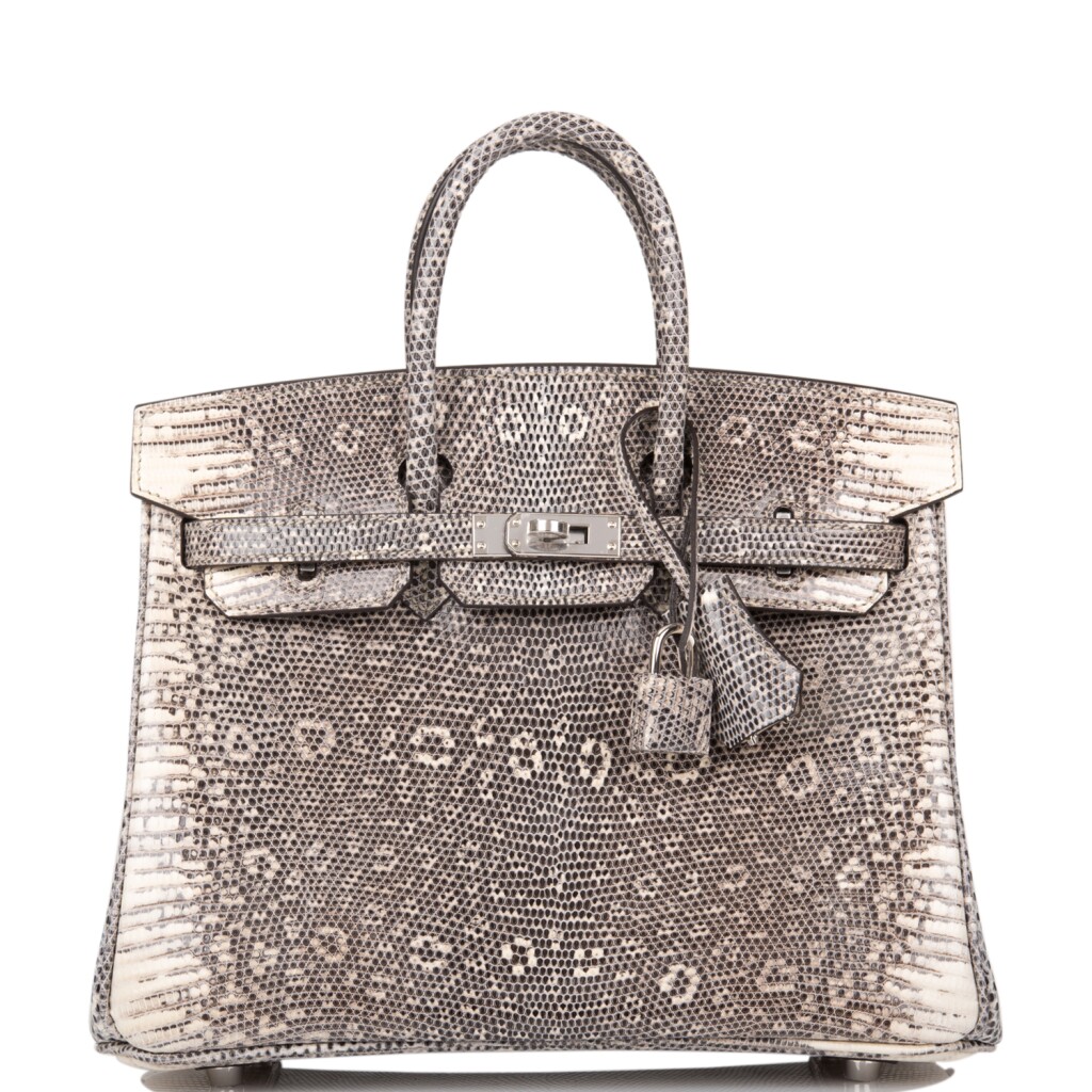 Ombre Birkin 25 Varanus