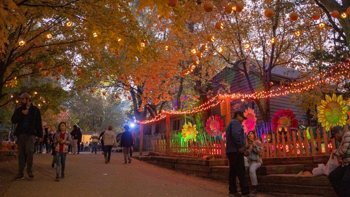 My top Omaha recs cover photo collage