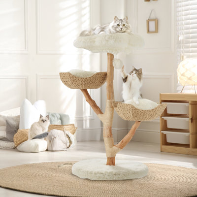 Cat lovers Must-Have cover photo collage