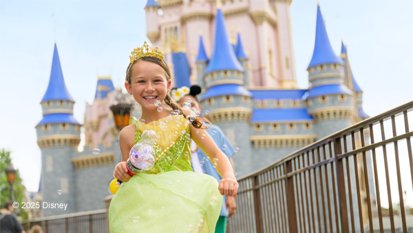 Disney Park Must Haves cover photo collage
