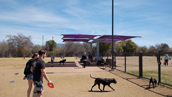 Best Tucson Dog Parks for Off-Leash Fun and Canine Community Time cover photo collage