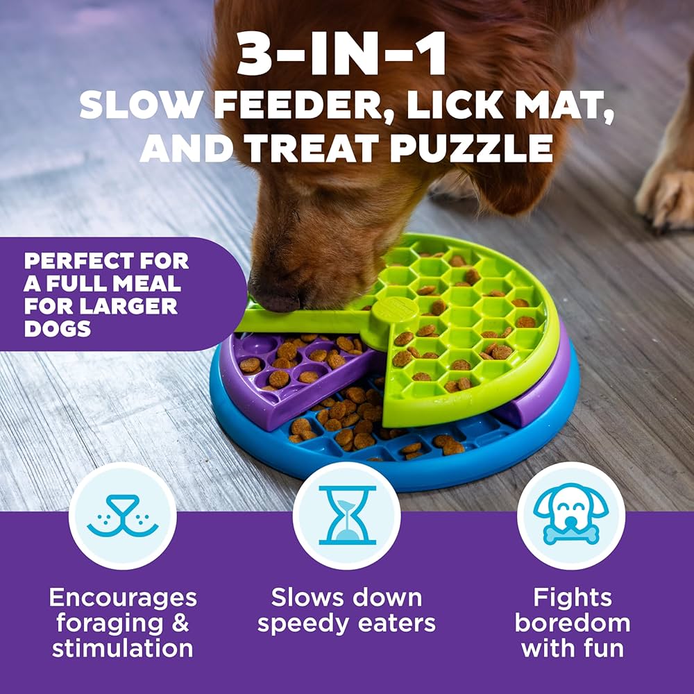 Pup Parent Must-Haves cover photo collage