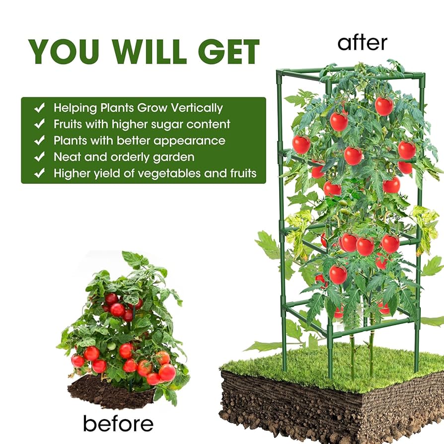 Ivy's Tomato Growing Must Haves cover photo collage
