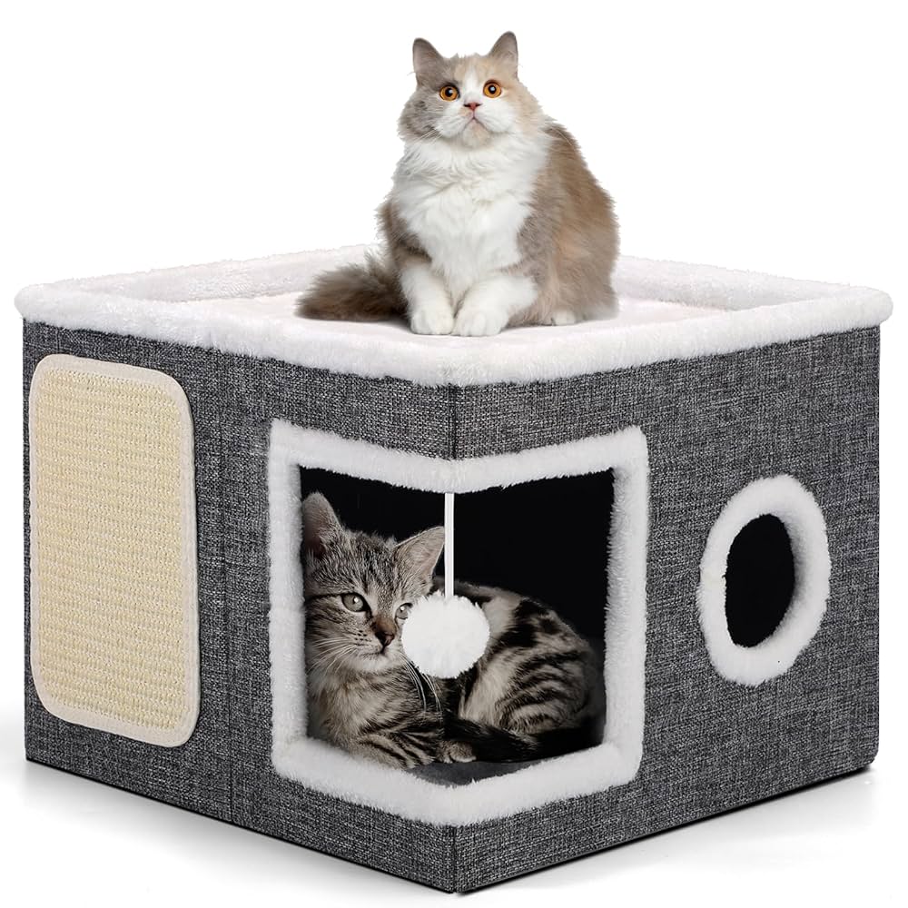 Calling All Cat Lovers cover photo collage