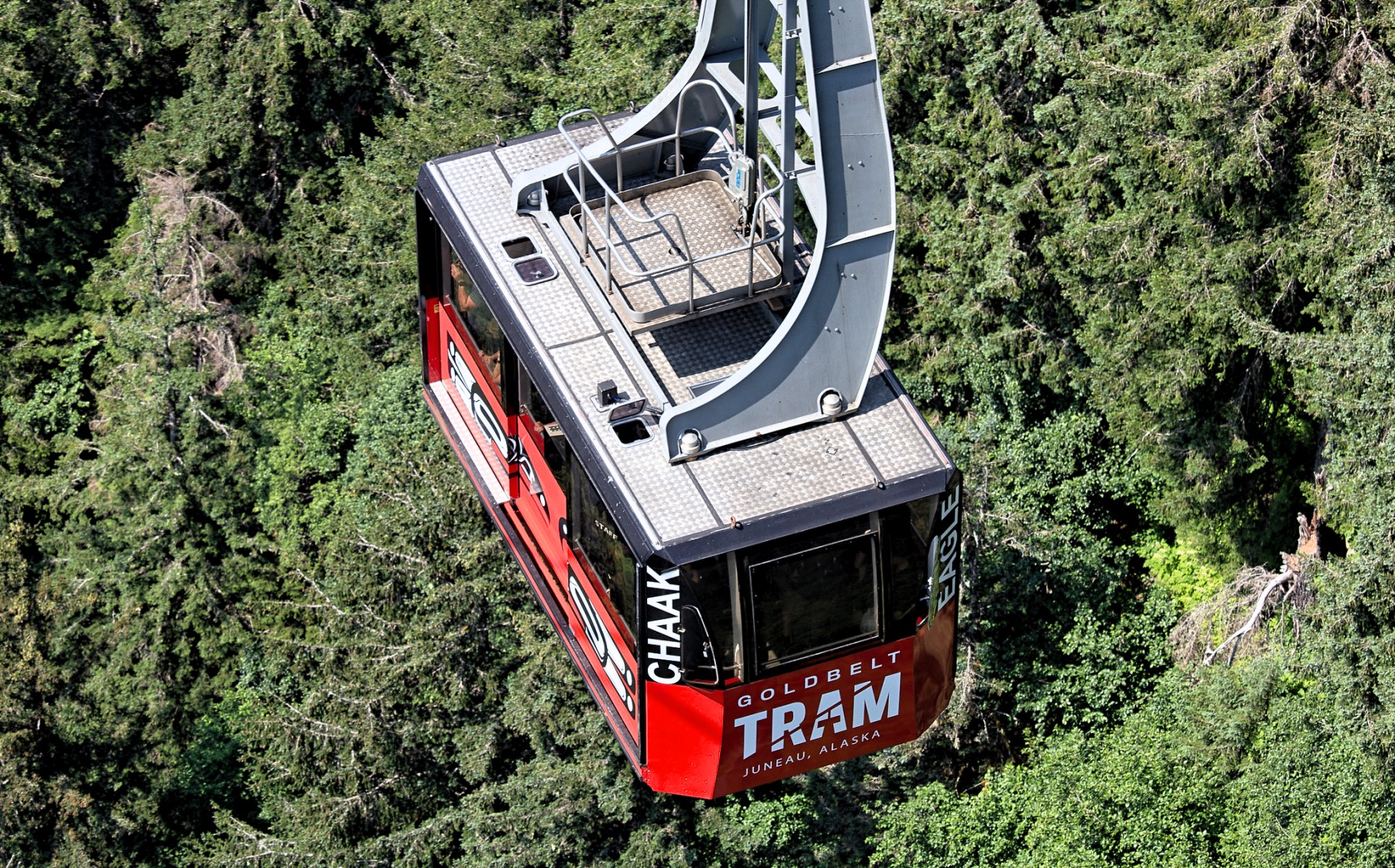 Top things to do in Juneau, Alaska cover photo collage