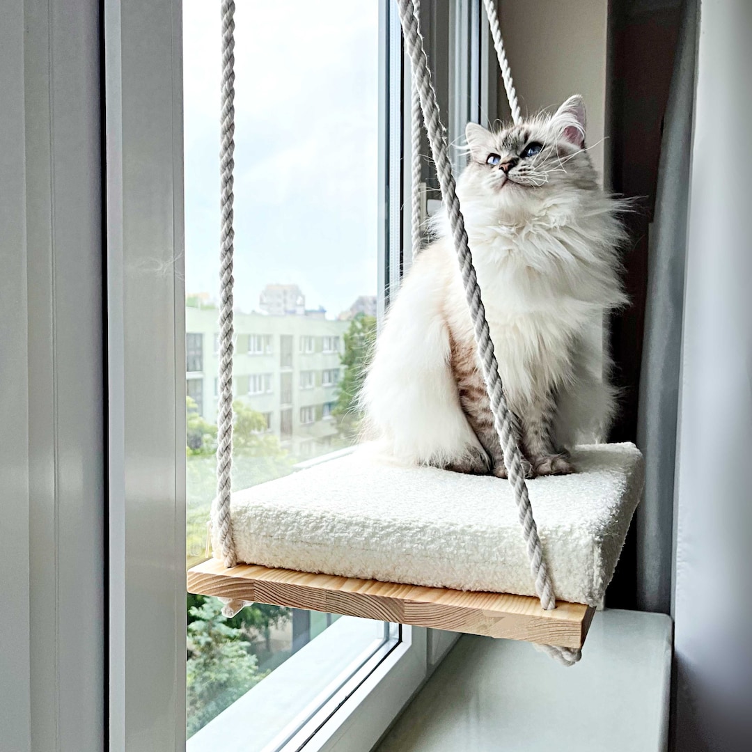 12 Must-Have Cat Home Essentials Every Modern Cat Parent Needs (Beyond Trees & Toys) 🐈‍⬛ cover photo collage