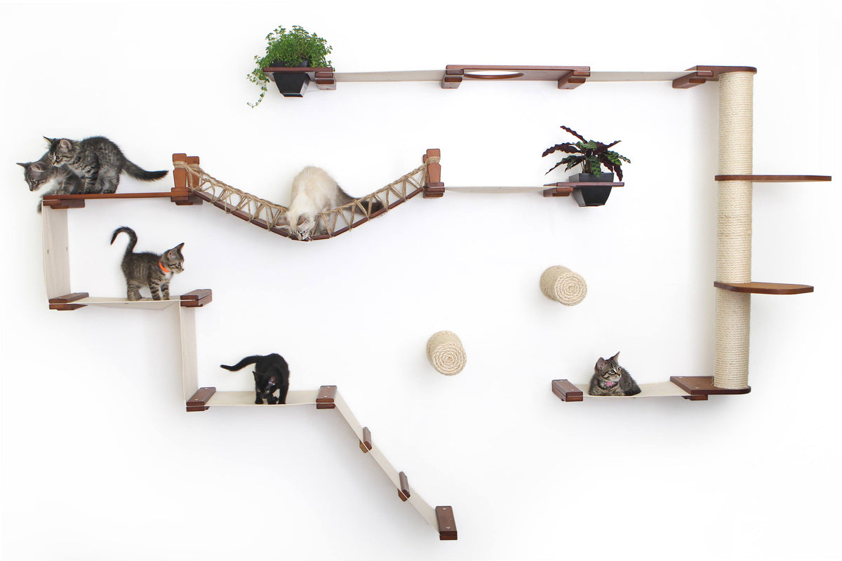 Cute Cat Furniture That Doesn’t Ruin Your Aesthetic cover photo collage